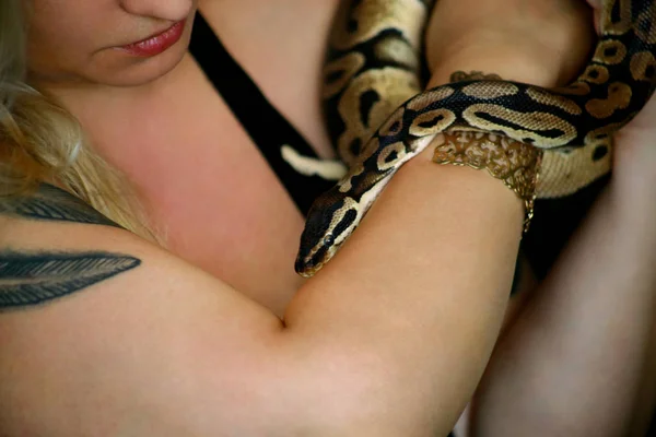 Portrait of girl with Royal Python snake. Woman holds snake in hands with beauty jewelry and posing in front of camera. Exotic tropical cold-blooded reptile, Ball Python (Python regius) species snake. — Stock Photo, Image