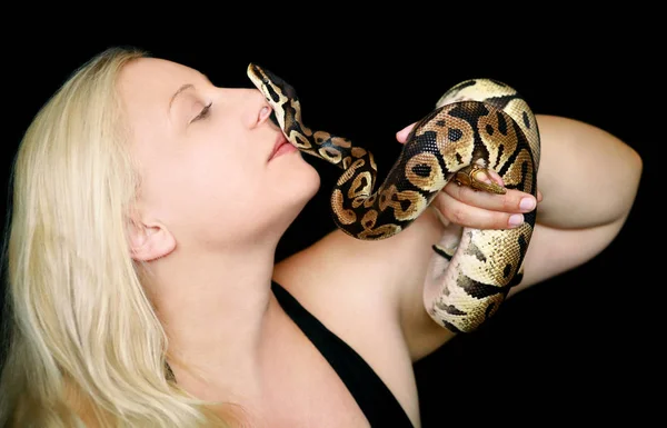Портрет дівчини з королівською змією Python. Красива жінка тримає змію в руках і позує перед камерою. Екзотичні тропічні холоднокровні рептилій тварини, Ball пітона (Python regius) види змія. — стокове фото