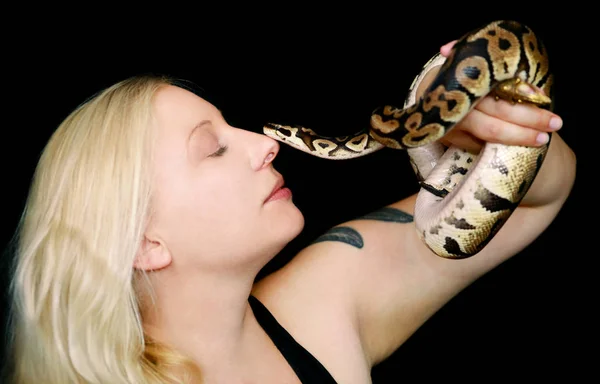 Retrato de uma rapariga com uma cobra Royal Python. Mulher bonita segura cobra nas mãos e posando na frente da câmera. Animal exótico de réptil tropical de sangue frio, espécies de cobra Ball Python (Python regius) . — Fotografia de Stock