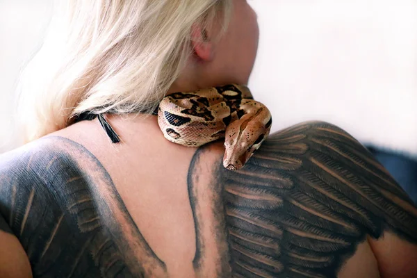 Snake on female shoulder and back, part woman naked body. Non poisonous Boa constrictor snake slithering and crawling per woman back, shoulder, tattoo. Exotic tropical cold blooded reptile animal. — Stock Photo, Image