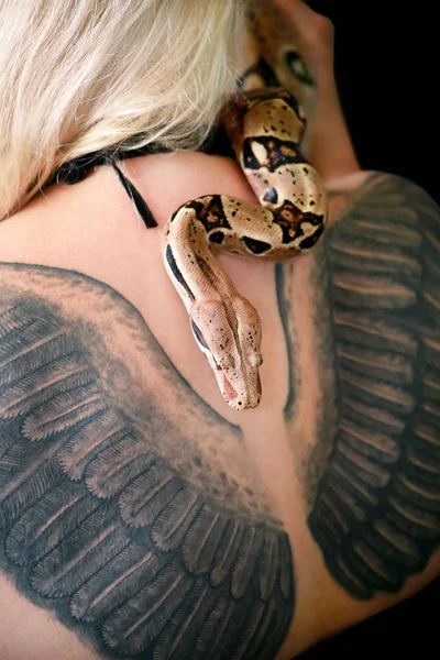 Snake on female shoulder and back, part woman naked body. Non poisonous Boa constrictor snake slithering and crawling per woman back, shoulder, tattoo. Exotic tropical cold blooded reptile animal. — Stock Photo, Image