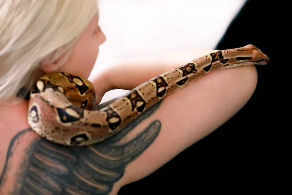 Snake on female shoulder and hand, part woman naked body. Non poisonous Boa constrictor species of snake slithering and crawling per woman hand, shoulder. Exotic tropical cold blooded reptile animal. — Stock Photo, Image