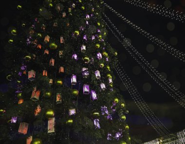 Noel ağacı ve Noel süslemeleri