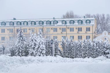 Ağaçlar, Kiev güzel kış panorama kar ile kaplı