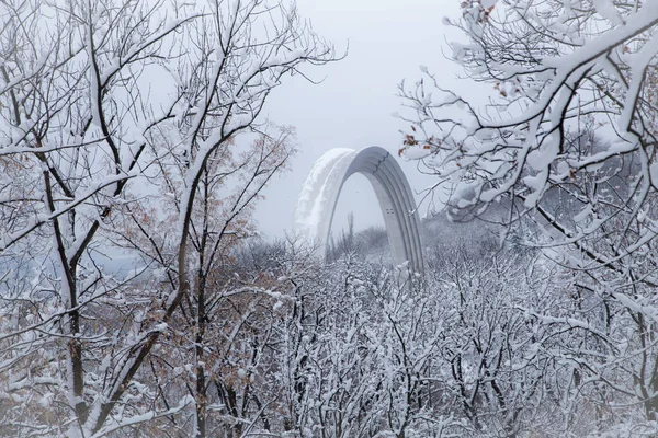 Ağaçlar, Kiev güzel kış panorama kar ile kaplı