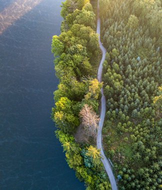 mavi göl ile yeşil ormanda boş yolun havadan veiw. drone atış