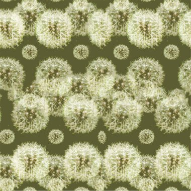 Sorunsuz dandelions desen illüstrasyon