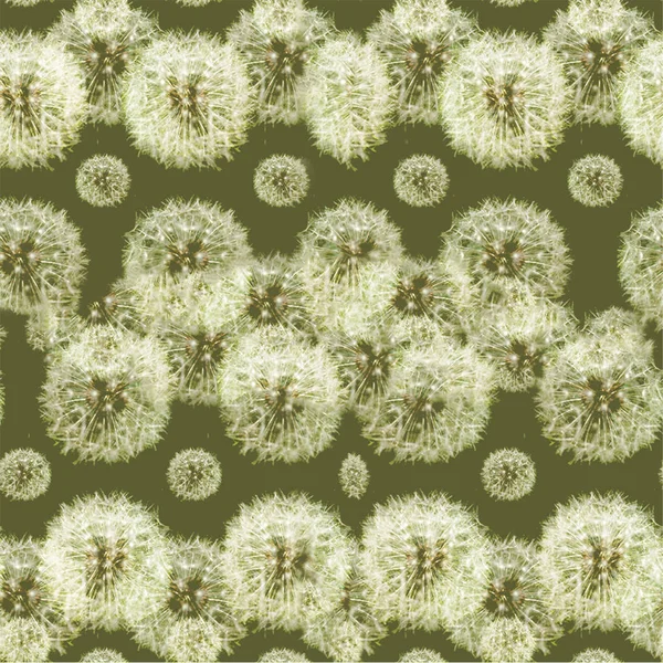 Seamless dandelions pattern illustration