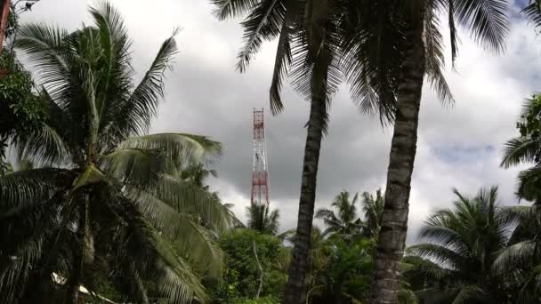 De man klimt op de toren van de telefoon onder de palmen — Stockvideo