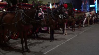 Akşamları turist bekleyen bir taşıma için harnessed kahverengi ve beyaz atlar.