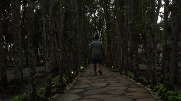 남자는 숲 경로 따라 저녁에 산책 — 비디오