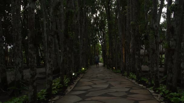 Ένας άνθρωπος περπατώντας σε ένα μονοπάτι στο πάρκο — Αρχείο Βίντεο
