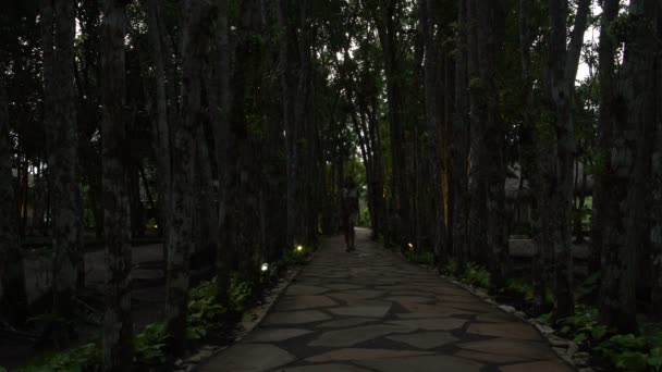 Una mujer caminando por un sendero en el Parque por la noche — Vídeos de Stock