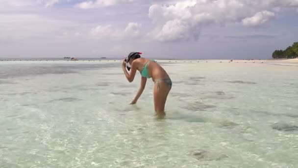 Mulher segurando uma estrela-do-mar em sua mão, libera a estrela no mar e flutua — Vídeo de Stock