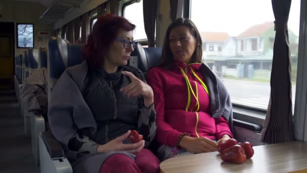 Twee vrouwen praten zittend op de trein — Stockvideo