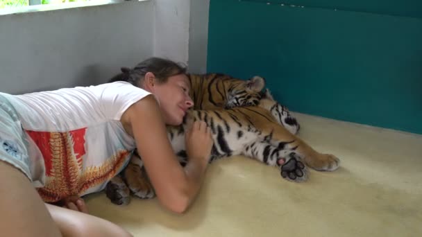 Eine Frau legt deinen Kopf auf ein Tigerjunges und streichelt ihm — Stockvideo