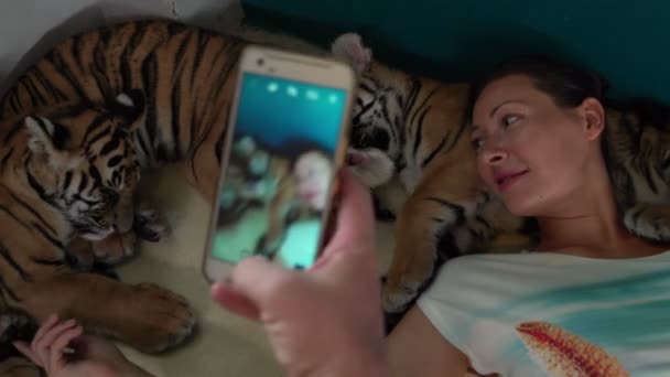 Mann erschießt Freundin mit kleinen Tigern — Stockvideo