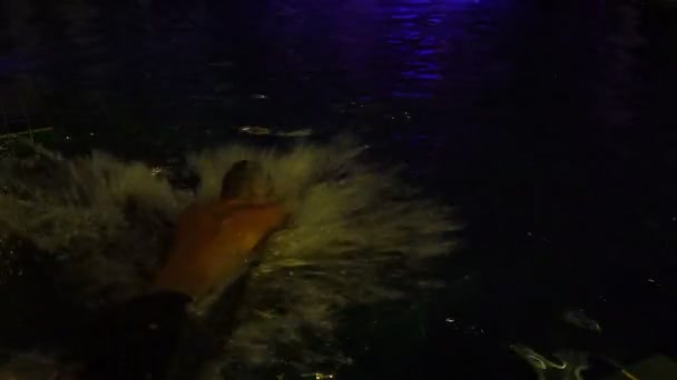 En man dyker in poolen på kvällen — Stockvideo