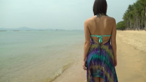 Una mujer caminando por la playa — Vídeos de Stock