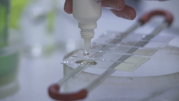 Een medische vloeistof wordt toegepast op Microscoop dia 's — Stockvideo