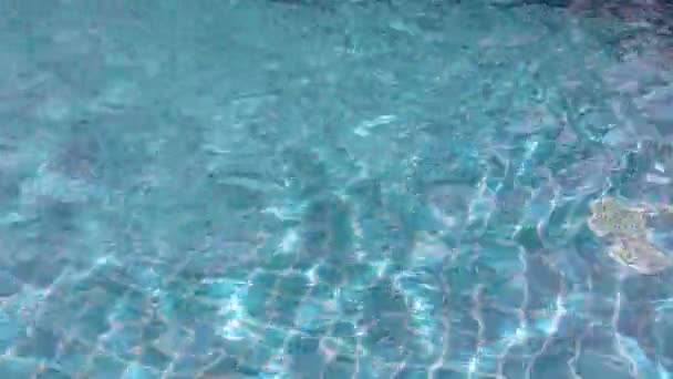 Kadın yüzer sırtüstü baseejne içinde — Stok video