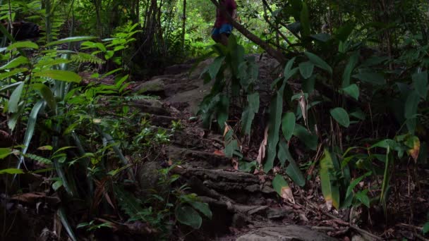 De man daalt de stenen trap in de jungle — Stockvideo