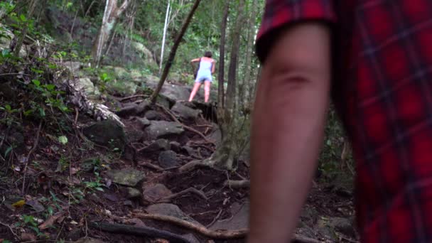 Ένας άνθρωπος ανεβαίνει ένα βουνό μέσα από τις ρίζες ενός δέντρου — Αρχείο Βίντεο
