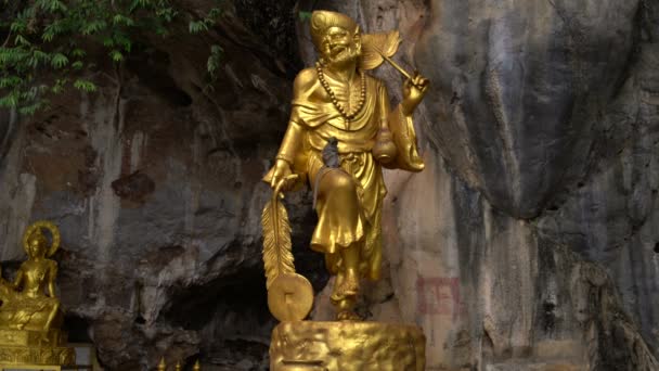 On the golden statue of the deity sits a monkey — Stock Video