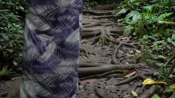 Женщина идет по лесной тропинке, заросшей корнями деревьев — стоковое видео