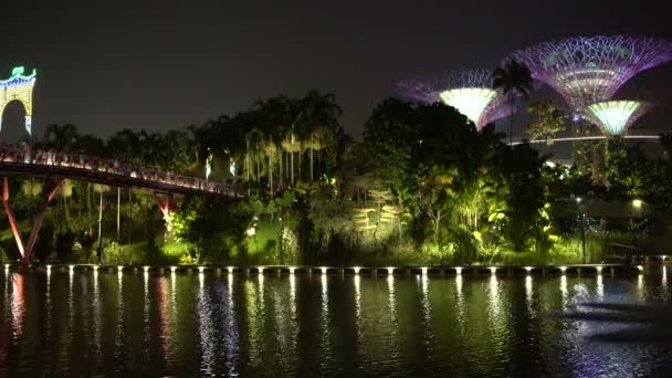 Utsikt över den tropiska trädgården i viken i Singapore — Stockvideo