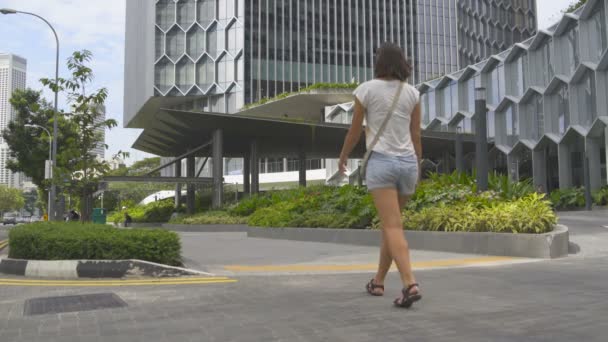 Una mujer está caminando en la acera en la calle — Vídeos de Stock
