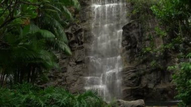 Ormandaki kayalık şelale