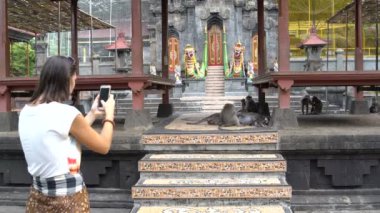 Bir smartphone maymun bir Budist Tapınağı toprakları üzerinde bir kadın fotoğraf
