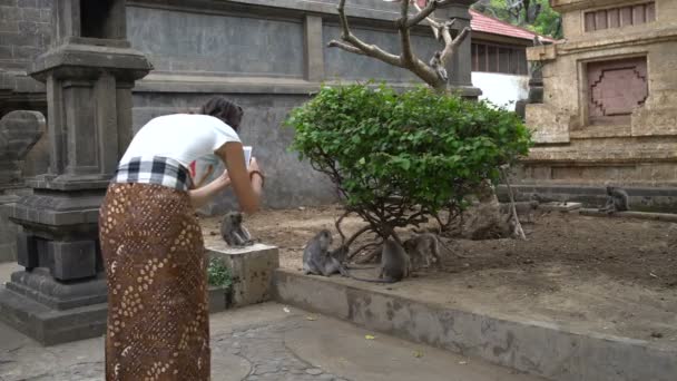 Een vrouw neemt foto's van apen op een smartphone — Stockvideo