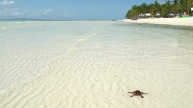 Bir adam kısa filmlerde deniz deniz yıldızını yanında oturuyor ve dokunana