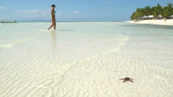 Mulher em um maiô emerge do mar — Vídeo de Stock