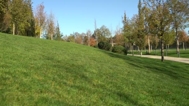 公園で女性が裸足の芝生の上、山から来る — ストック動画