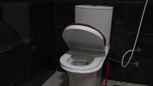 Toilet lid slowly lowered — Stock Video