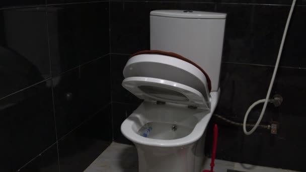 Кришка з сидінням в туалеті повільно опускається — стокове відео