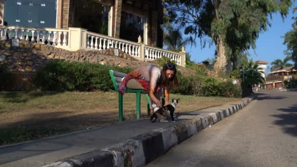 Uma mulher senta-se em um banco no parque e acaricia gatos — Vídeo de Stock