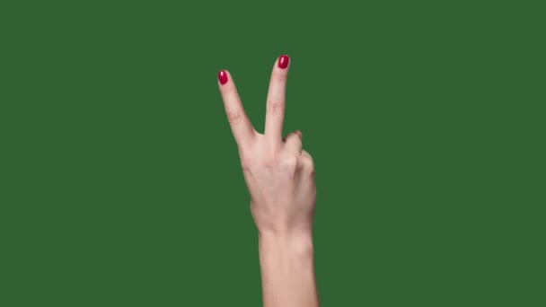 Χρωμοκλειδί. Πράσινη οθόνη. Γυναίκα χέρι κάνει εντάξει και μετρώντας. — Αρχείο Βίντεο