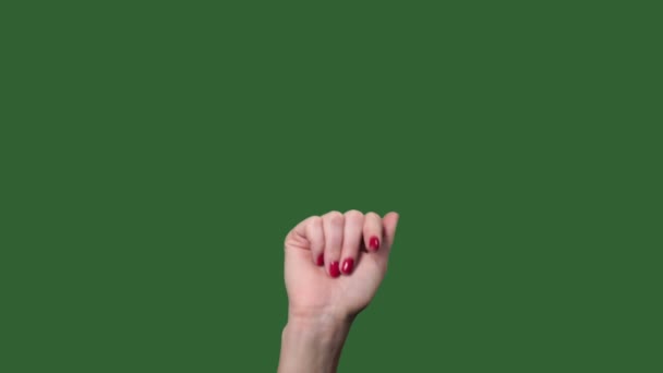 Chromakey. Green screen. Touch screen woman finger gestures — Stock Video