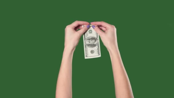 Chromakey. Pantalla verde. Manos de mujer torciéndonos cien dólares en paja . — Vídeos de Stock