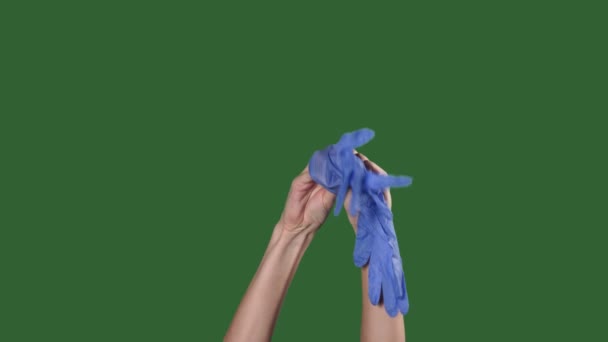 Green Screen. chromakey. Frau zieht medizinische Handschuhe an. — Stockvideo