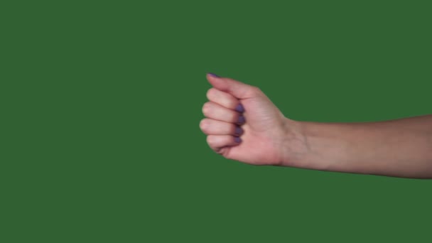 Green screen. Chromakey. Woman hand: hitchhiking thumbs up thumbs down. — Stock Video