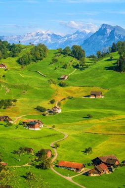 Pastoral swiss kırsal manzara yeşil çayırlar ve alp dağ zirveleri, Kanton Lucerne, İsviçre