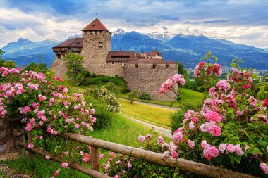 Vaduz castle, Liechtenstein, Alps mountains clipart