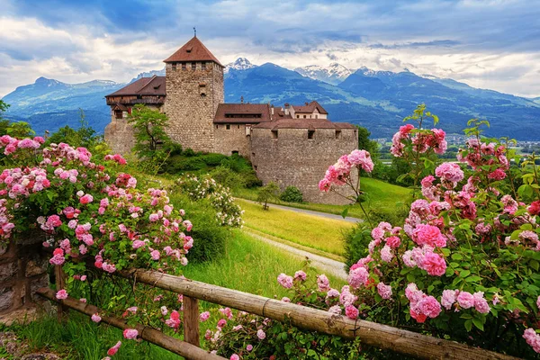 Vaduz kastély, Liechtenstein, Alpok-hegység — Stock Fotó