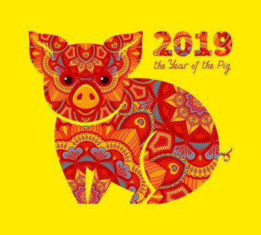 Domuz 2019 yılı