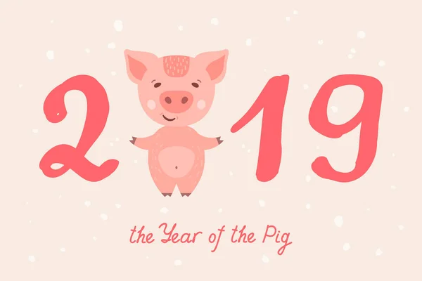 2019 year of the Pig — Stockvector